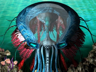 Jellution