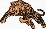 Princeton tiger