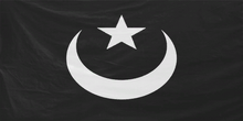 Arma2-flag-takistanimilitia