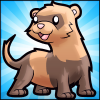 Ferret