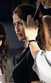 220px-Kim Delaney