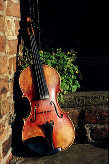 Violin
