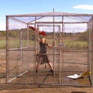 Free Speech Zone Arrested Development Wiki Fandom