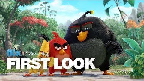 Angry Birds The Movie - First Look