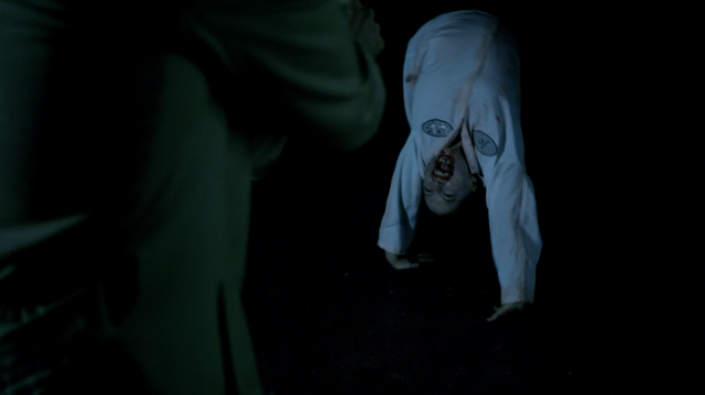 File:Jo walking on all four limbs.png