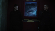 King Shark defend Dominators energy in A.R.G.U.S.