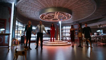 Ava Sharpe Arrowverse Wiki Fandom