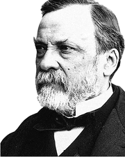 ImPasteur