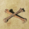 Knochen