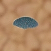 Olganpulver