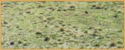 Sturmsteppe