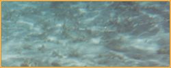 Wasser