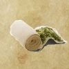 Seetang-Verband