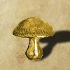Goldpilz