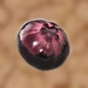 Guljakbeere