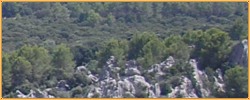 Arachwald