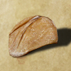Echsenschuppe
