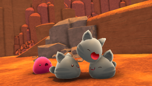 Cat-slime development