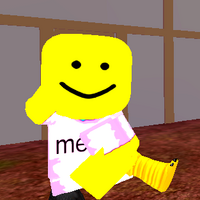 Village Dunce Roblox Hero Havoc Wiki Fandom