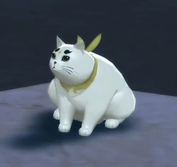 Morgrim | Aselia | Fandom