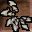 Plate Armoredillo Spine Icon