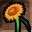 Sunflower Icon