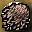 Mushroom Rice Icon