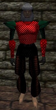 Scalemail Armor Live