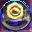 A Society Ring of Endurance Icon