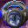 Ring of the Watchman Icon