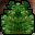 Enchanted Seedling Icon