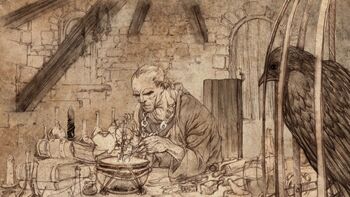 Maester