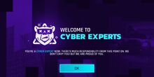 Cyber Experts