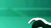 Nagisa's Nekodamashi