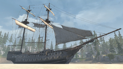 Aquila