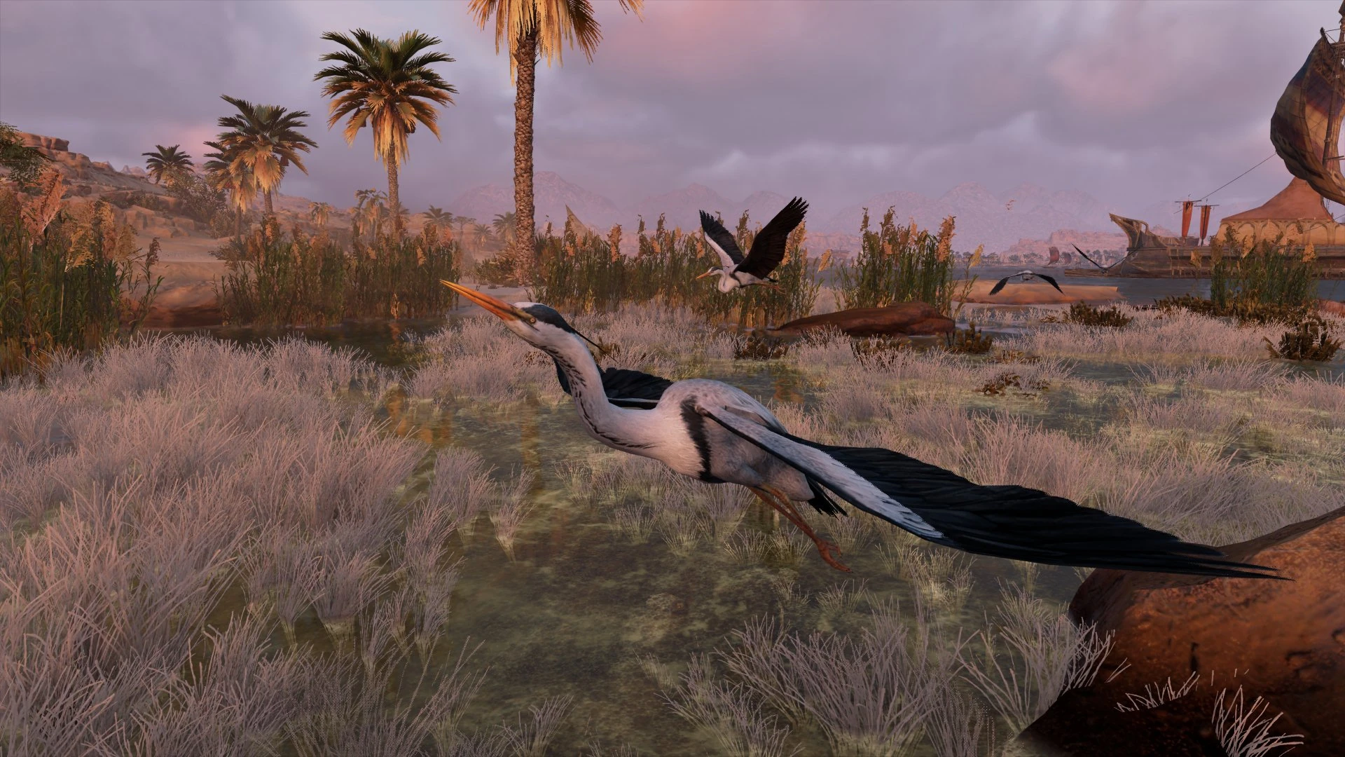 Heron Assassin's Creed Wiki Fandom