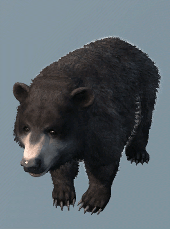 Database Bear Assassin S Creed Wiki Fandom - skyrim bear roblox