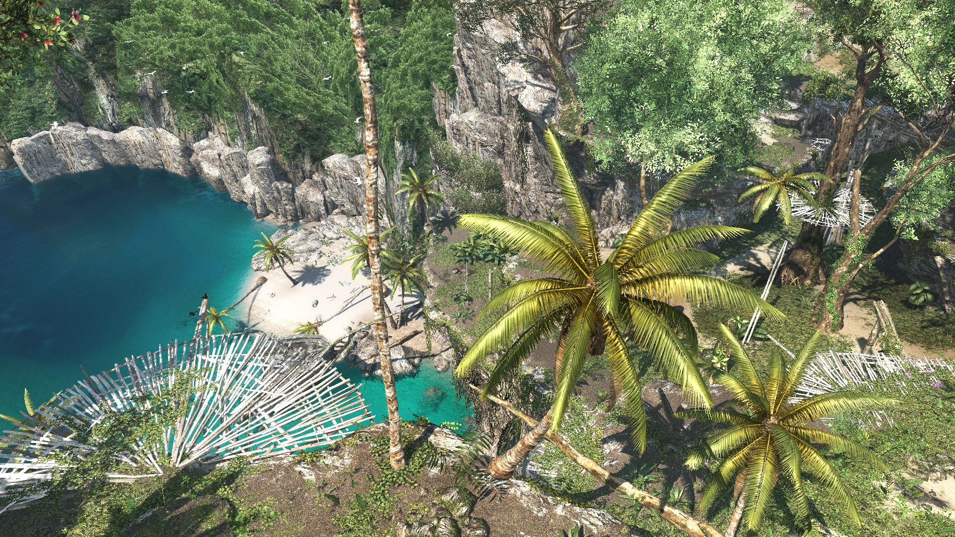 Cape Bonavista Assassin's Creed Wiki FANDOM powered by Wikia