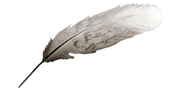 Pióro AC2