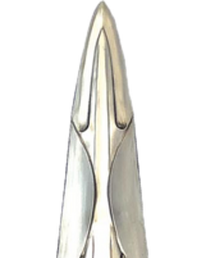 Spear Of Leonidas Assassin S Creed Wiki Fandom