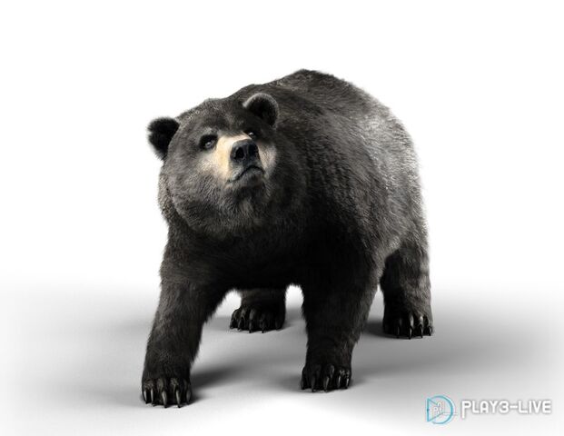 File:AC3-Bear render.jpg