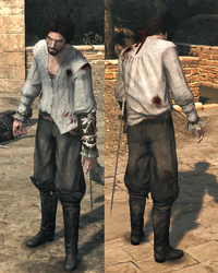 Pene cavallo Pene cavallo