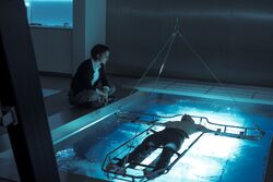 AC film Sophia Rikkin Callum Lynch bassin
