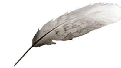 Feather Assassin S Creed Wiki Fandom