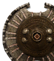 ACO Reinforced Shield