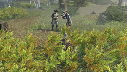 ACIII-BA-ASpy 3
