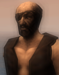 Pasha