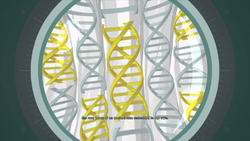 The Isu's Triple-helix Genome alongside humanity's double-helix