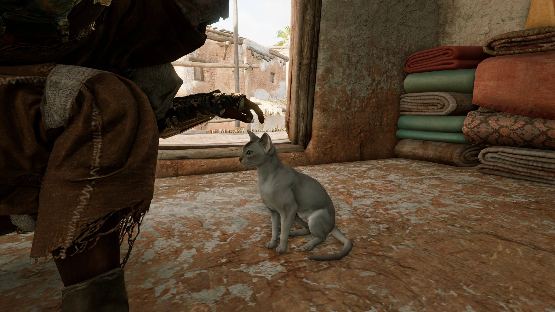 Cat Assassin's Creed Wiki Fandom