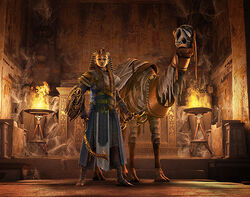 ACO Undead Pack